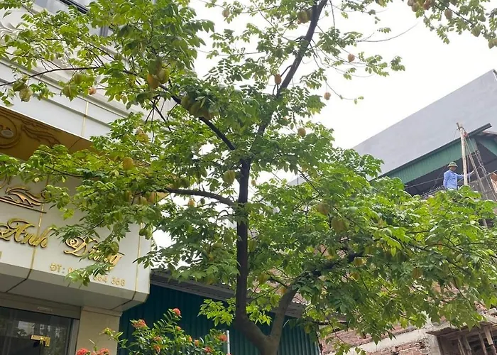 Anh Dũng Bed &amp; Breakfast Hạ Long