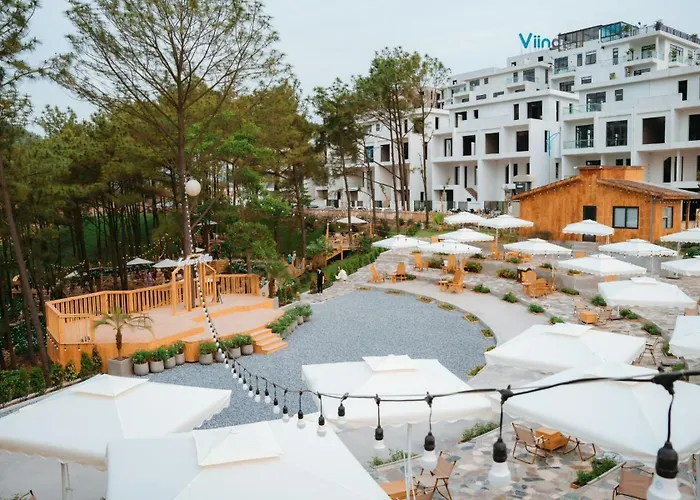 Anh Dũng Bed &amp; Breakfast *