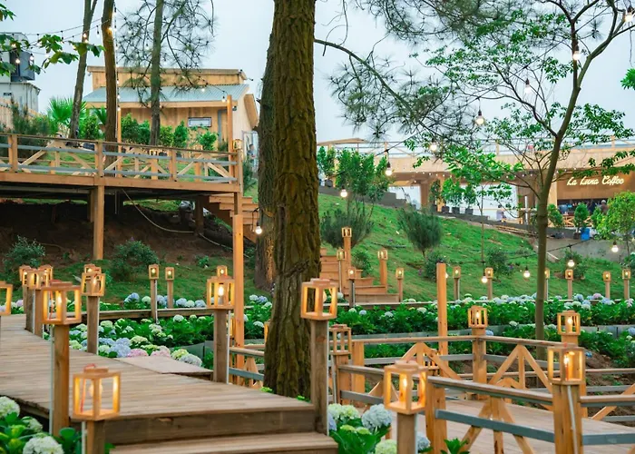 Anh Dũng *
