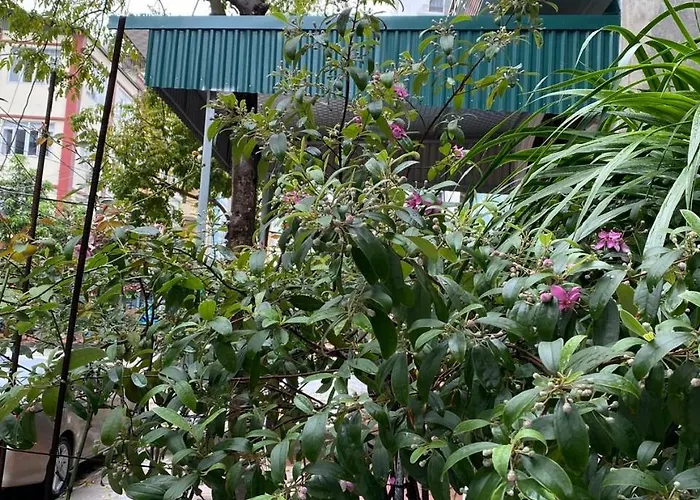 Anh Dũng *